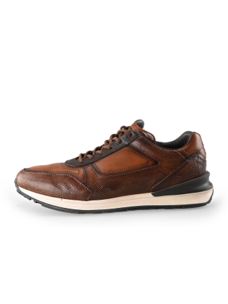 Greve Sneakers Bruin 232734