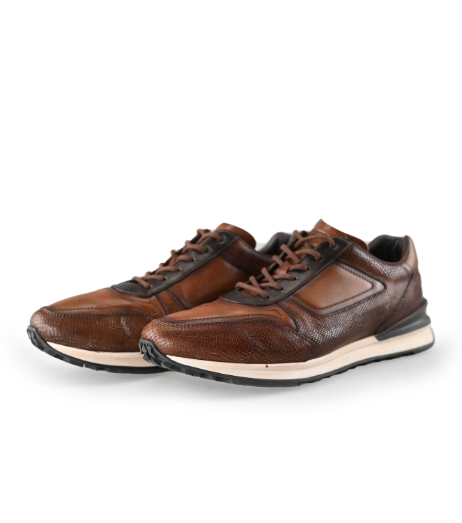 Greve Sneakers