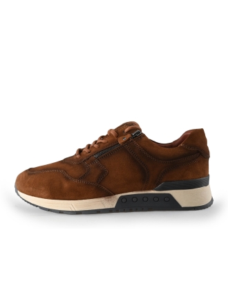 Greve Sneakers Bruin 233876