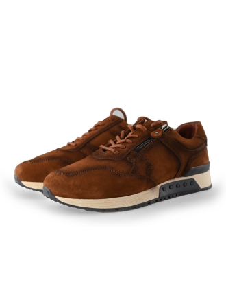 Greve Sneakers Bruin 233876