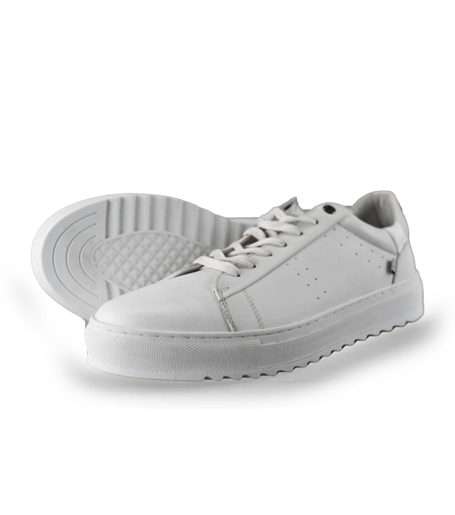 J.C. Rags Sneakers