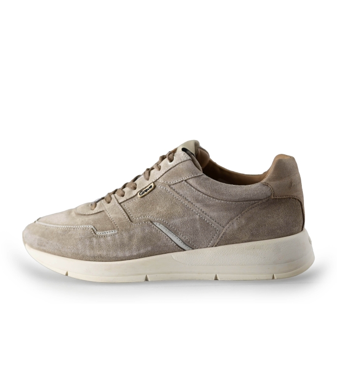 Greve Sneakers