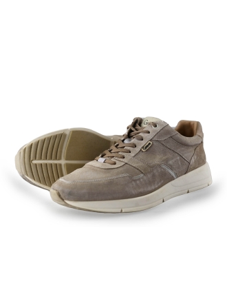Greve Sneakers