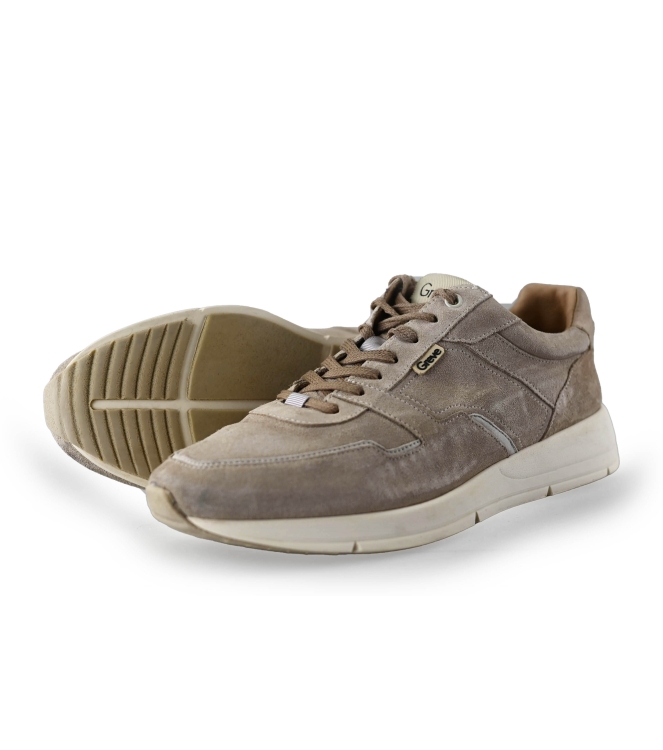 Greve Sneakers