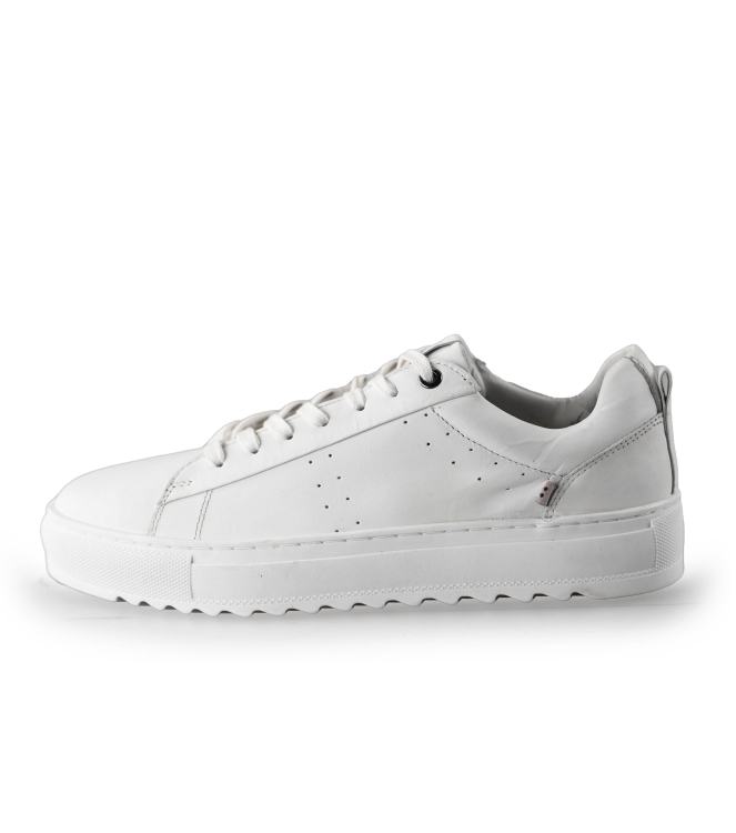 J.C. Rags Sneakers