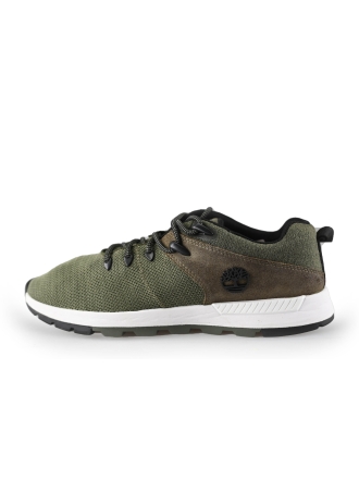 Timberland Sneakers Groen 235412