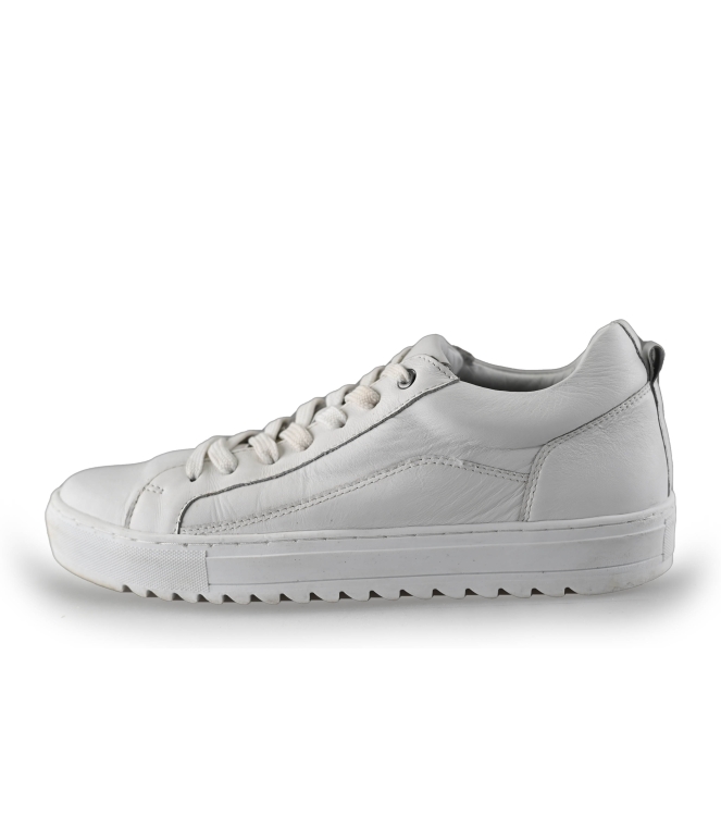 Nelson Sneakers