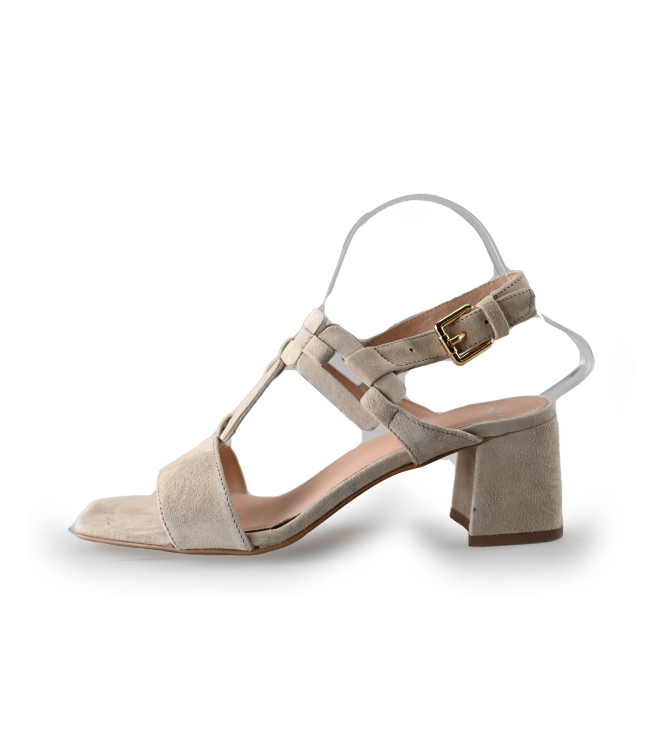 Manfield Pumps