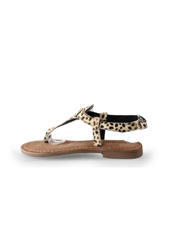 Lazamani Sandalen Bruin 237214