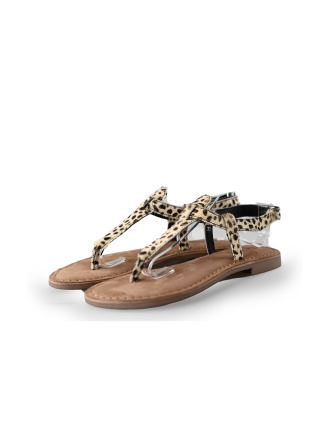 Lazamani Sandalen Bruin 237214