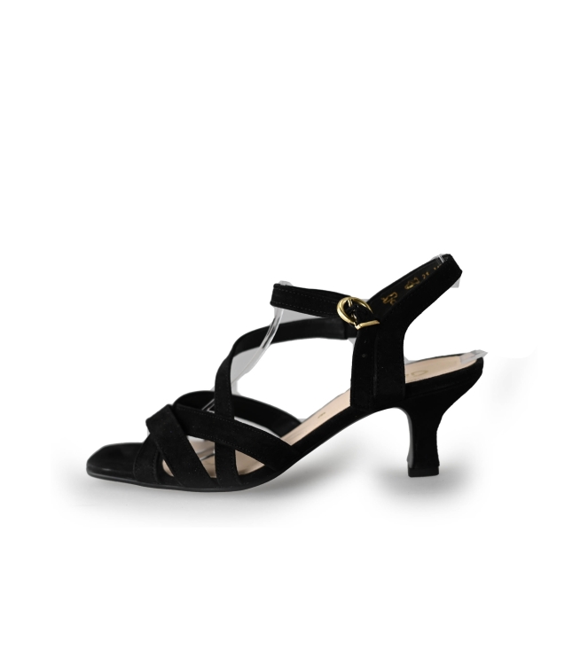 Gabor Pumps