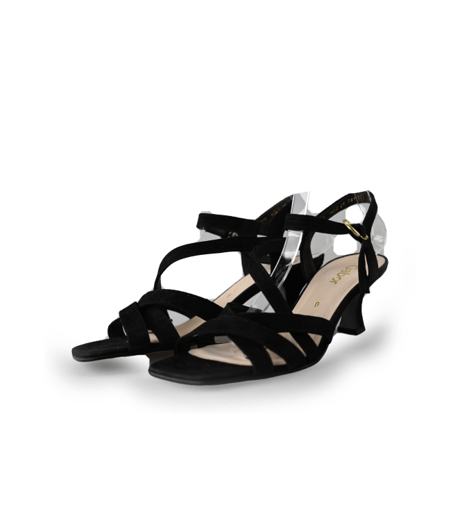 Gabor Pumps