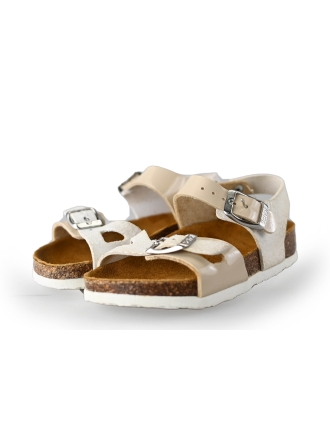 Scholl Sandalen Beige 237853