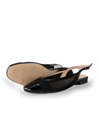 Linea Zeta Ballerina's