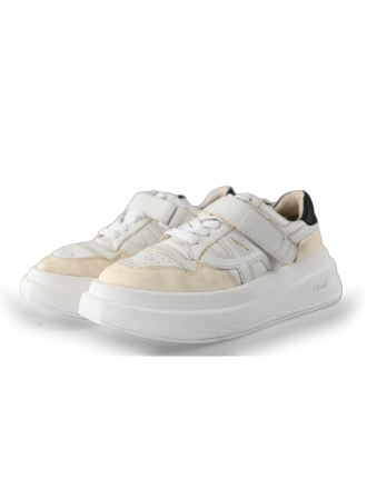 ASH Sneakers