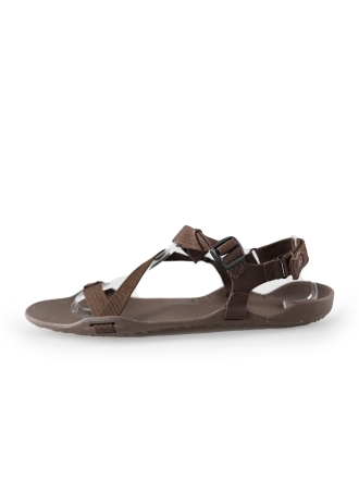 xero shoes Slippers Bruin 239479