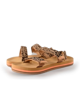 Reef Sandalen Bruin 241086