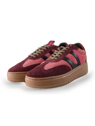 Cellini Sneakers Paars 243345