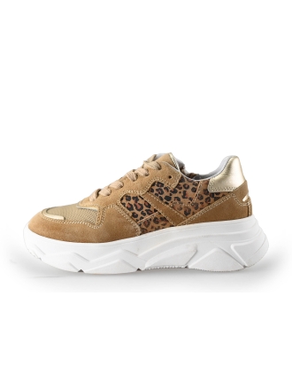 DSTRCT Sneakers Bruin 245914