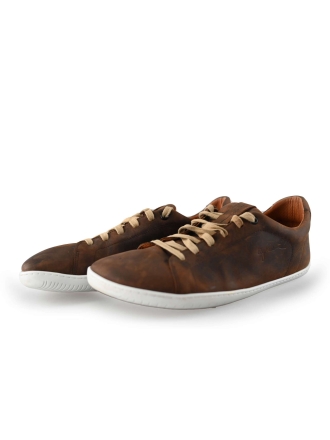 aylla Sneakers Bruin 241682