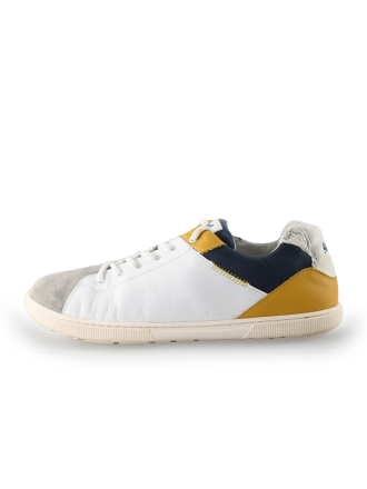 Koel Sneakers Grijs 245870