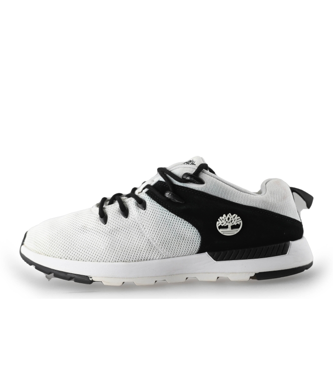 Timberland Sneakers