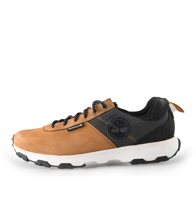 Timberland Sneakers