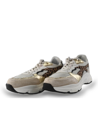 Nelson Sneakers Beige 264273