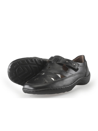 Apex Sneakers
