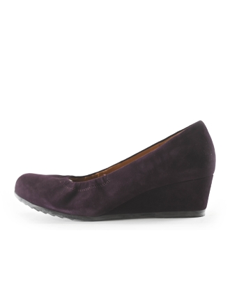 Gabor Sleehakken Blauw 266573