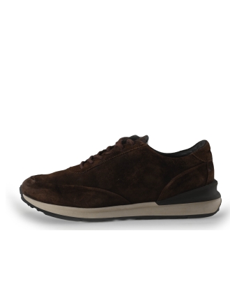 Greve Sneakers