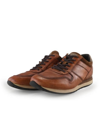 Greve Sneakers Bruin 269015