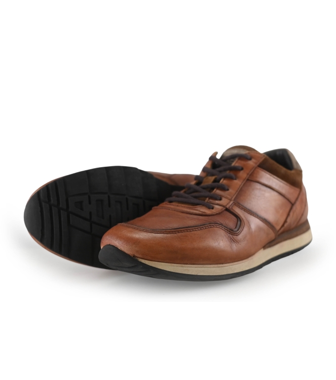 Greve Sneakers