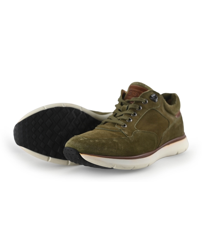Greve Sneakers