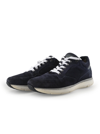 Greve Sneakers