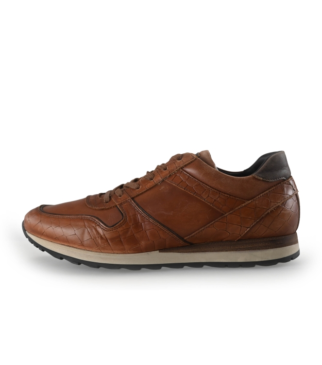 Greve Sneakers