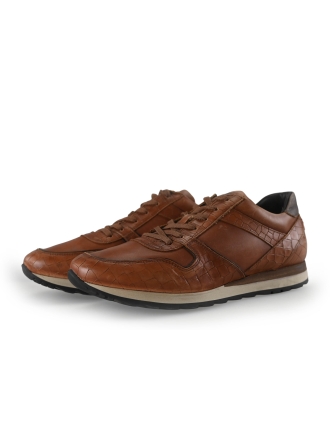 Greve Sneakers Bruin 269645