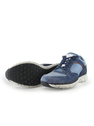 Greve Sneakers