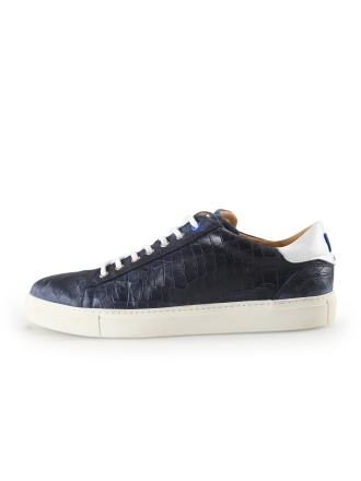 Greve Sneakers Blauw 269650