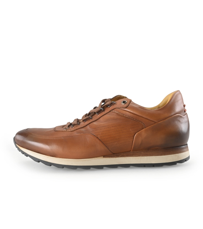 Greve Sneakers