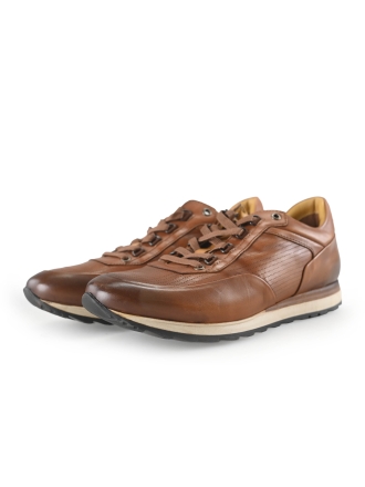 Greve Sneakers Bruin 269686