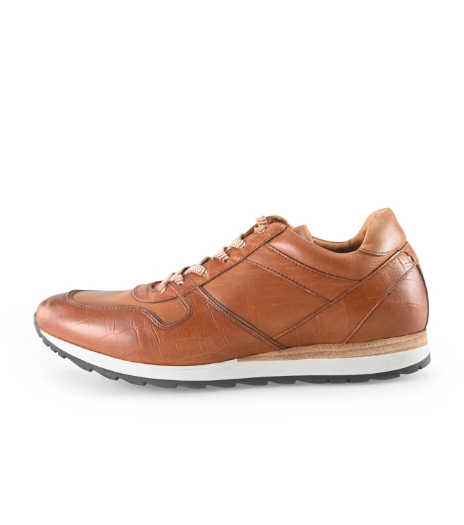 Greve Sneakers