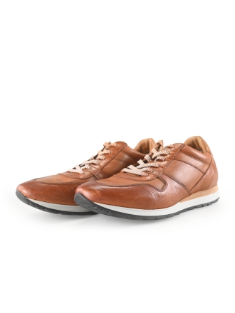 Greve Sneakers Bruin 269716