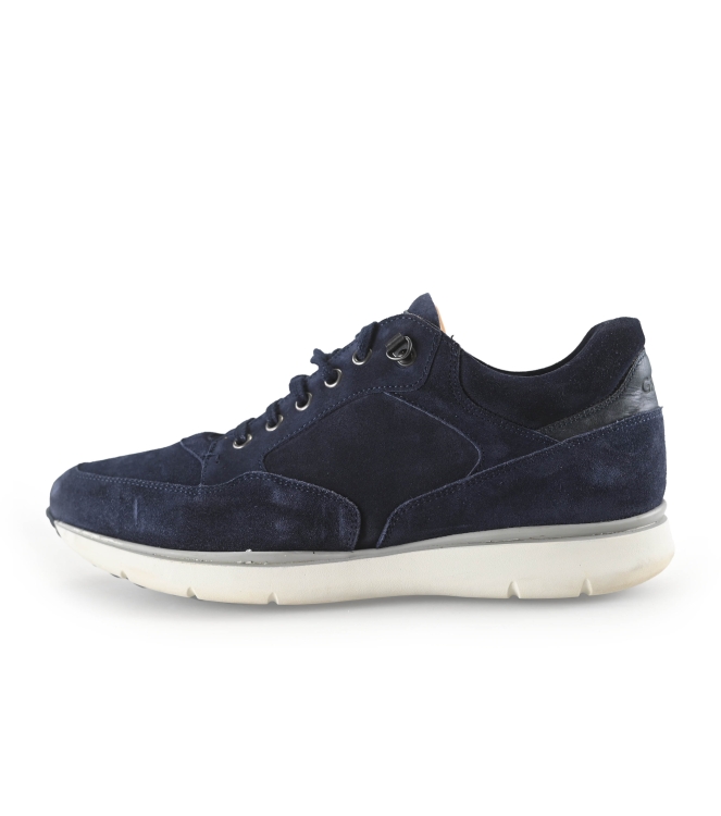 Greve Sneakers