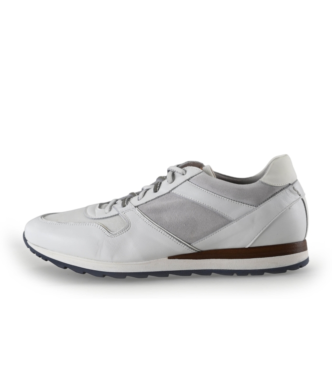 Greve Sneakers