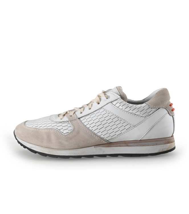 Greve Sneakers