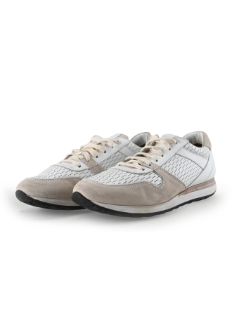 Greve Sneakers Wit 269769
