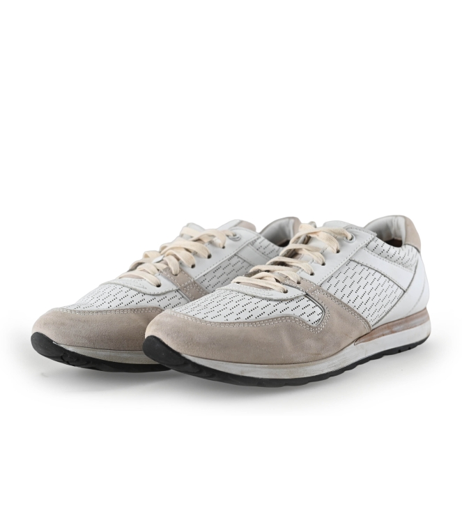 Greve Sneakers