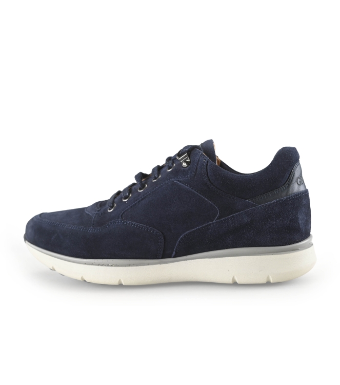 Greve Sneakers