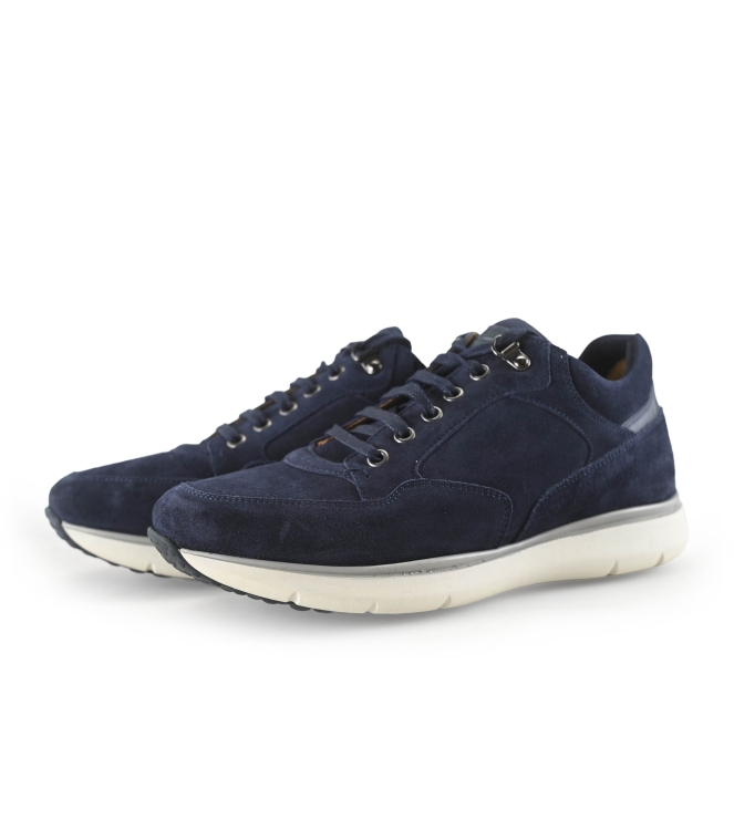 Greve Sneakers